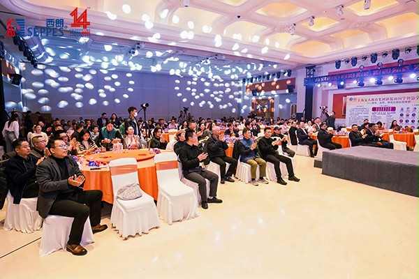 上图为：峰会现场